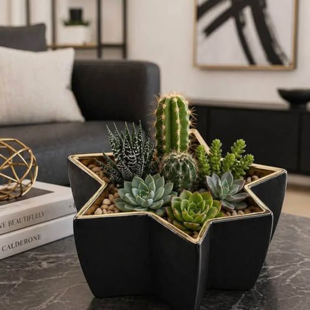 Black & Gold Star Planter | Celestial Ceramic Planter | Moody Modern Decor